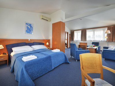 EA Hotel Populus*** - suite